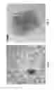 Fig. 07 - Methods of metal oxide nanocrystals preparation