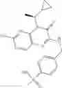 Fig. 355 - Compounds as modulators of RORγ