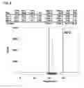 Fig. 07 - Tetraaza macrocyclic compound, preparation method thereof and use thereof