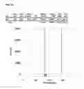Fig. 45 - Tetraaza macrocyclic compound, preparation method thereof and use thereof