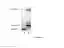 Fig. 02 - Antibacterial compounds and biological applications thereof