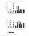 Fig. 02 - RNA WITH A COMBINATION OF UNMODIFIED AND MODIFIED NUCLEOTIDES FOR PROTEIN EXPRESSION