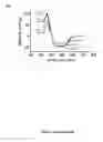 Fig. 06 - Mimetic peptides