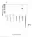 Fig. 12 - Mimetic peptides