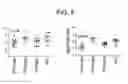 Fig. 06 - Antibodies to surface determinants