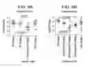 Fig. 10 - Antibodies to surface determinants