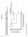 Fig. 19 - Antibodies to surface determinants