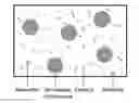 Fig. 01 - Self-Healing Polyethylene