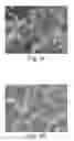Fig. 06 - COATINGS, COMPOSITIONS, COATED ARTICLES AND METHODS