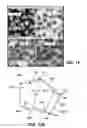 Fig. 07 - Abrasive article including shaped abrasive particles