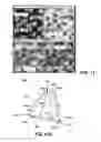 Fig. 07 - ABRASIVE ARTICLE INCLUDING SHAPED ABRASIVE PARTICLES
