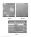 Fig. 06 - PDMS-based ligands for quantum dots in silicones