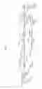 Fig. 09 - Recombinant adenoviruses and use thereof
