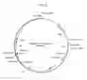 Fig. 22 - Recombinant adenoviruses and use thereof