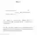 Fig. 02 - Methods and Vectors for Generating Asialylated Immunoglobulins