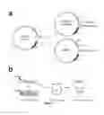 Fig. 02 - Nucleic acids useful for integrating into and gene expression in hyperthermophilic acidophilic Archaea