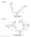 Fig. 09 - Photocleavable linker