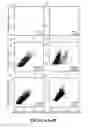 Fig. 06 - RNA APTAMER ISOLATION VIA DUAL-CYCLE (RAPID) SELECTION