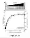 Fig. 08 - RNA APTAMER ISOLATION VIA DUAL-CYCLE (RAPID) SELECTION