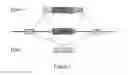 Fig. 02 - Antisense compounds targeting genes associated with fibronectin