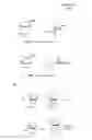 Fig. 07 - METHODS AND COMPOSITIONS TO PRODUCE ss-RNAi ACTIVITY WITH ENHANCED POTENCY