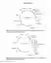 Fig. 02 - METHOD FOR PRODUCING A TRANSGENIC CELL WITH INCREASED GAMMA-AMINOBUTYRIC ACID (GABA) CONTENT