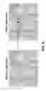 Fig. 07 - High-throughput mutagenized cell screening system for selective single cell extraction