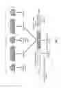 Fig. 02 - Detection of toxigenic strains of 