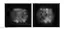 Fig. 01 - Spatial sequencing of nucleic acids using DNA origami probes