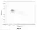 Fig. 02 - NOVEL MARKERS FOR MENTAL DISORDERS