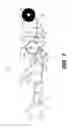Fig. 02 - Systems for controlling a manufacturing line used to convert a paper web into paper products by reading marks on the paper web