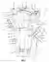 Fig. 02 - Wide open spider tool