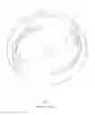 Fig. 08 - Rotary internal combustion engine