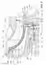 Fig. 03 - Pressurized seal system for a power turbine unit