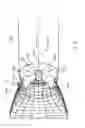 Fig. 08 - Aircraft propulsion assembly comprising an air flow valve with a variable flow rate