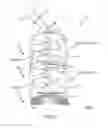 Fig. 02 - Kinetic flame device