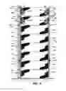 Fig. 07 - Armor plated device