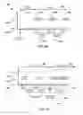 Fig. 09 - Method, devices and systems for detecting an attachment of an electronic patch