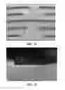 Fig. 09 - Microfluidic device and method for detecting rare cells