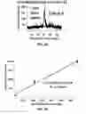 Fig. 07 - Microfluidic devices for liquid chromatography-mass spectrometry and microscopic imaging