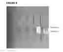 Fig. 07 - LATERAL FLOW IMMUNOASSAY