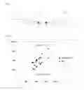 Fig. 02 - ADDITIVE FOR MEASURING DILUTED SAMPLE IN NON-DILUTION-TYPE IMMUNOCHROMATOGRAPHIC METHOD REAGENT