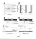 Fig. 07 - Electrophoretic bar code assay devices and methods for making and using the same