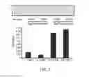 Fig. 08 - Method for the quantification of parasite eggs in feces