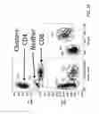 Fig. 44 - Systems and methods for detecting a biological condition