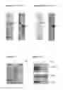 Fig. 02 - Compositions and methods relating to lyme disease