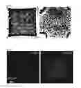 Fig. 05 - Detecting low-abundant analyte in microfluidic droplets