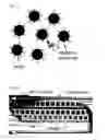 Fig. 08 - Detecting low-abundant analyte in microfluidic droplets