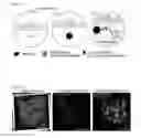 Fig. 09 - Detecting low-abundant analyte in microfluidic droplets
