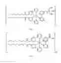 Fig. 04 - Membrane staining dyes containing phosphorescent transition metal polypyridine complexes